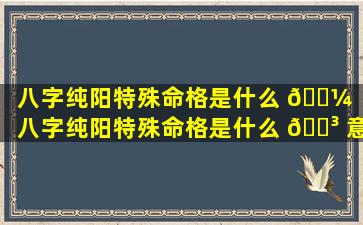 八字纯阳特殊命格是什么 🌼 （八字纯阳特殊命格是什么 🐳 意思）